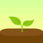 Forest MOD APK - Premium Desbloqueado